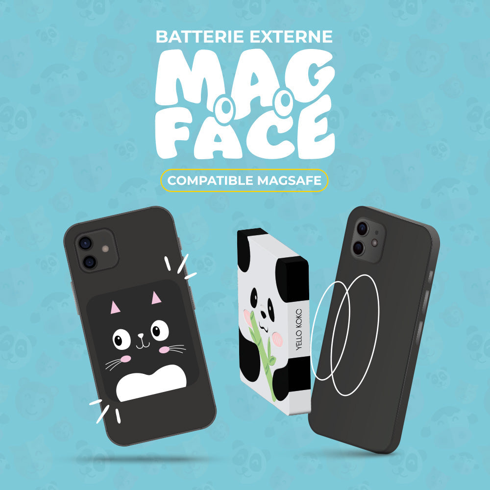 Les MagFace