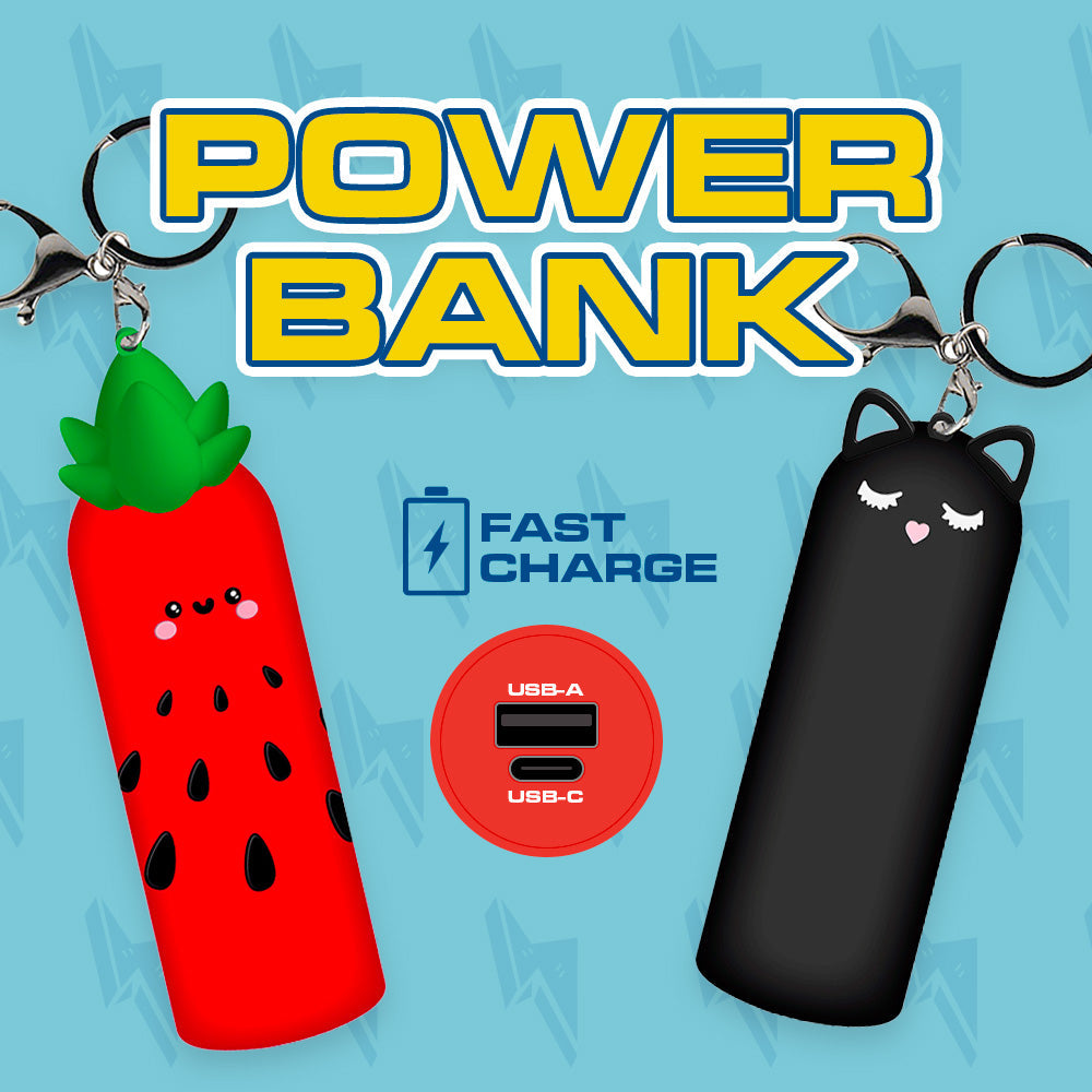 Les Powerbanks