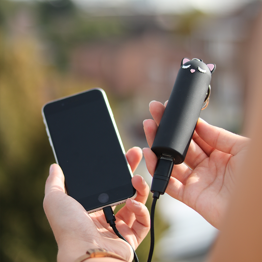 Batterie Externe Chat 4800mHa