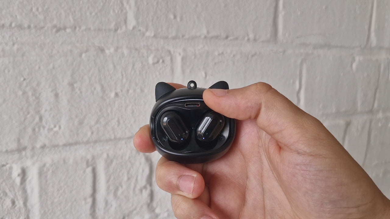Charger la vidéo : 